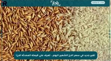 تغير جديد في سعر الأرز الشعير اليوم.. تعرف على قيمته المحدثة الآن!